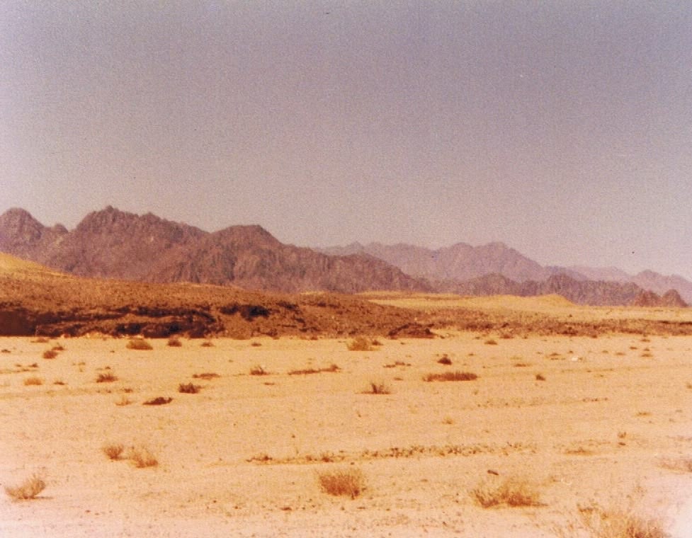 Vintage Egyptian desert landscape